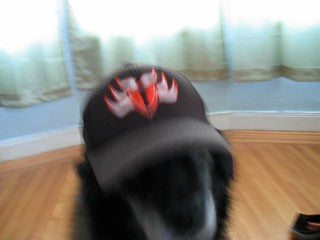 Mookie the Violent: 1994(ish)-2008