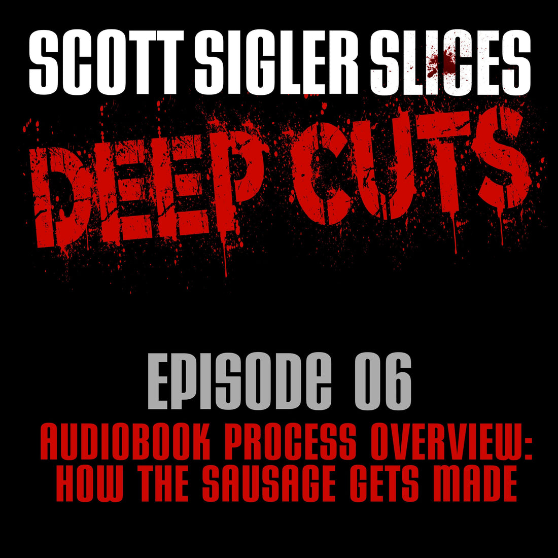DEEP CUTS Episode 6 Audiobook Process Overview - How The Sausage Gets Made
